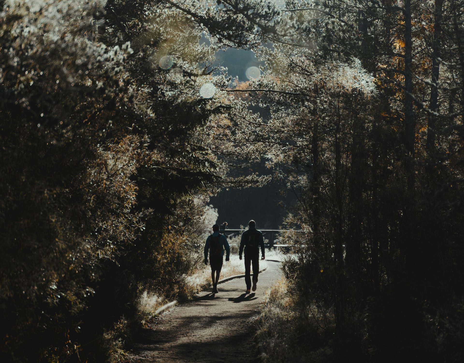 Walking Day